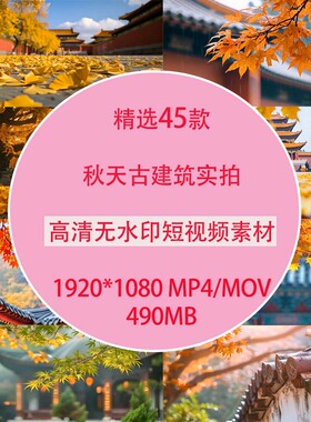 秋天古建筑园林风景金黄色枫叶建筑自然风景风光实拍短视频素材