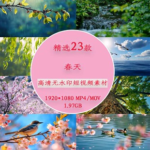 春天自然风景实拍视频春天万物复苏生机盎然唯美意境短视频素材