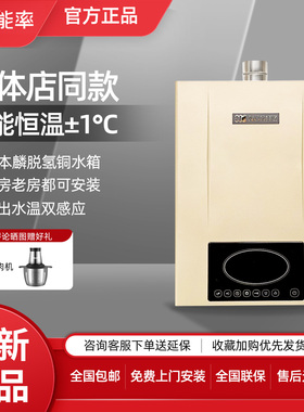NORITZ/能率GQ-16K2AAFEX燃气热水器水量伺服器室内强排防冻16升