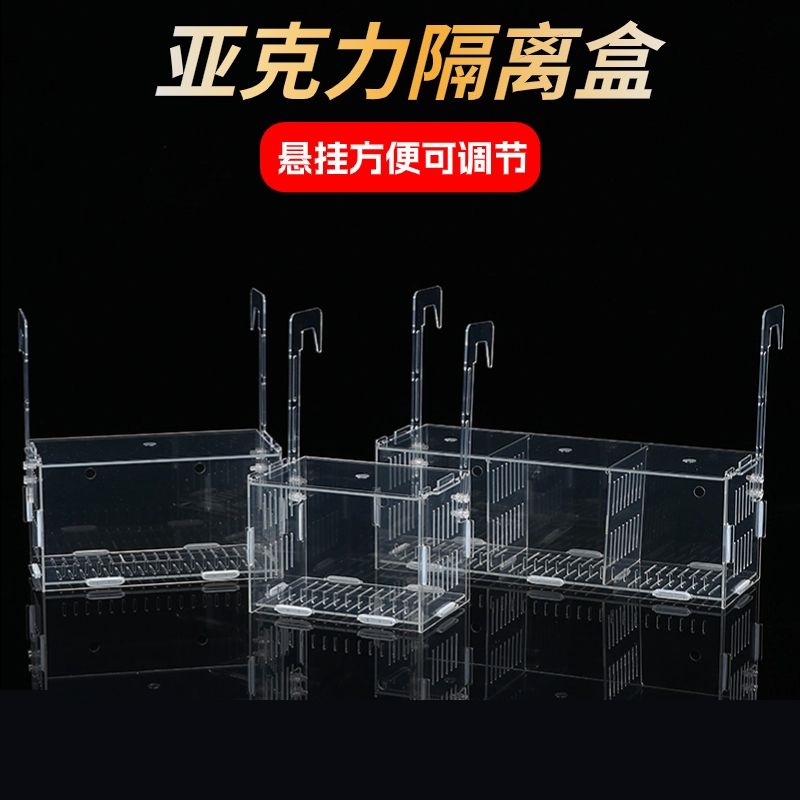 鱼缸水培植物固定架鱼缸隔离盒透明亚克力隔离箱斗鱼分隔盒孔雀鱼