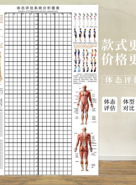体态评估表健身房体测网格图瑜伽馆人体姿势对比校正图身体矫正表