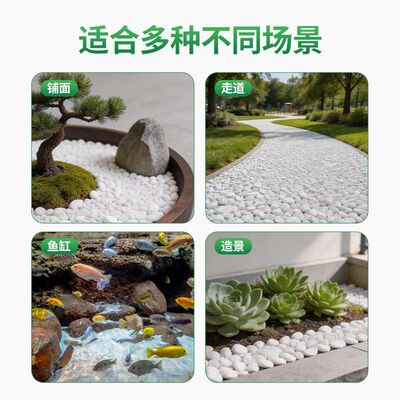 白石子造景颗粒庭院雨花石多肉铺面石盆栽花盆养花水培白色石头子