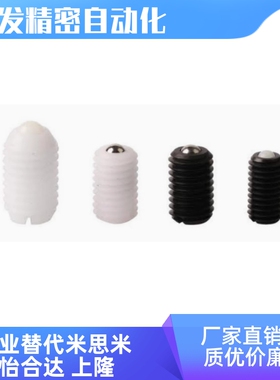 球头柱塞树脂型/BNMN6/BNMN8/BNMN10/BNZN6