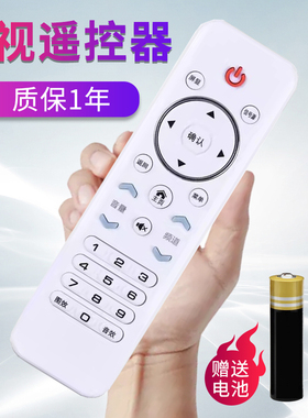 杂牌电视机遥控器山水王牌夏新长虹微淘荣事达志高金正pasnsaio