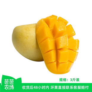 【芭芭农场】玉芒3斤 酸甜可口需要催熟食用,按压微软即可食用