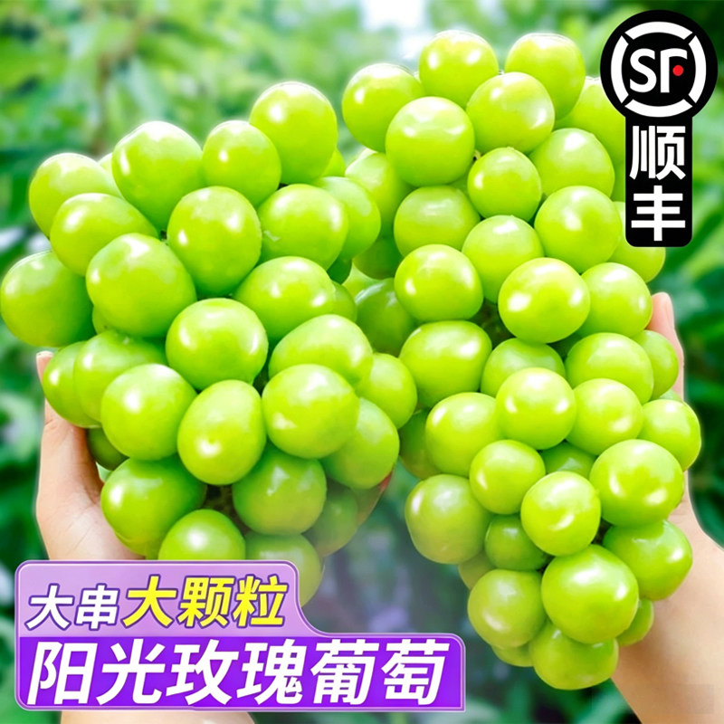 【伙伴牛甄选】云南阳光玫瑰葡萄葡萄/提子