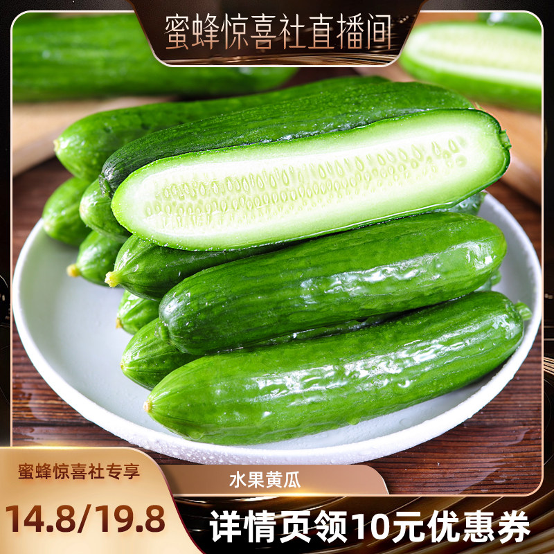 【蜜蜂早餐节】河南水果小黄瓜3斤/4.5斤新鲜脆甜无刺整箱包邮