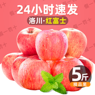 水果新鲜脆甜平果整箱 包邮 单果重240g 陕西洛川红富士苹果2.5kg