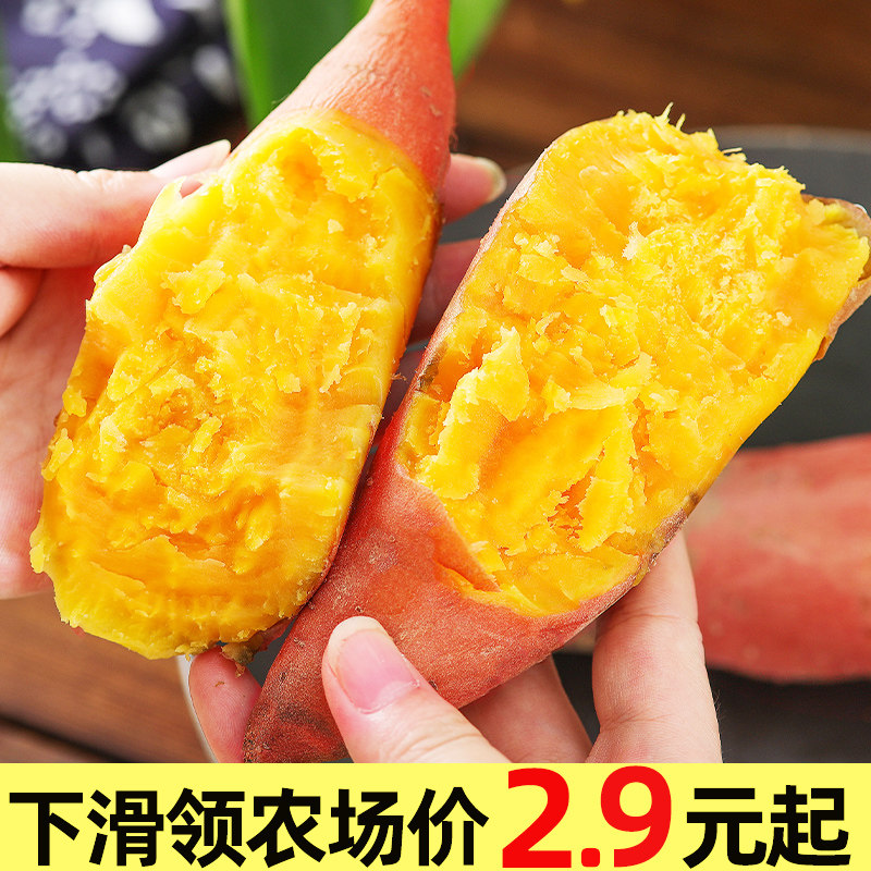 新鲜河南黄心红薯0.5斤板栗红薯沙地地瓜农家自种蔬菜番薯现挖高性价比高么？