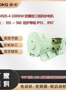 YBBP-4505-41000W防爆型三相异步电机中心高：355～560