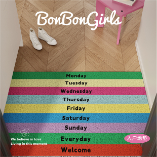 多巴胺条纹入户地垫丝圈防滑耐脏脚垫大门口门外进门垫可自由裁剪