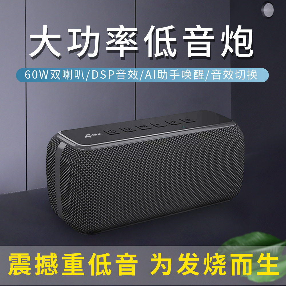赛柏瑞斯60W大功率蓝牙5.3重低音炮户外防水便携DSP插卡TWS音箱