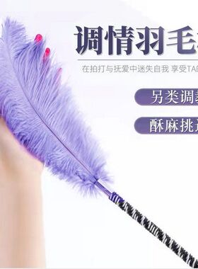 黑色男女朋友单支鸵鸟羽毛棒拍情侣有趣的小玩意好物挑逗玩具用品