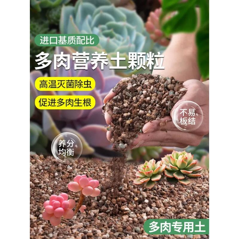 多肉颗粒土营养壤种植泥铺面石泥炭花盆栽独立站