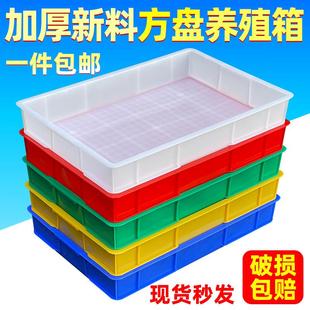 塑料盒子长方形浅盘配件工具螺丝盒胶箱收纳筐盘零件盒周转箱杂物