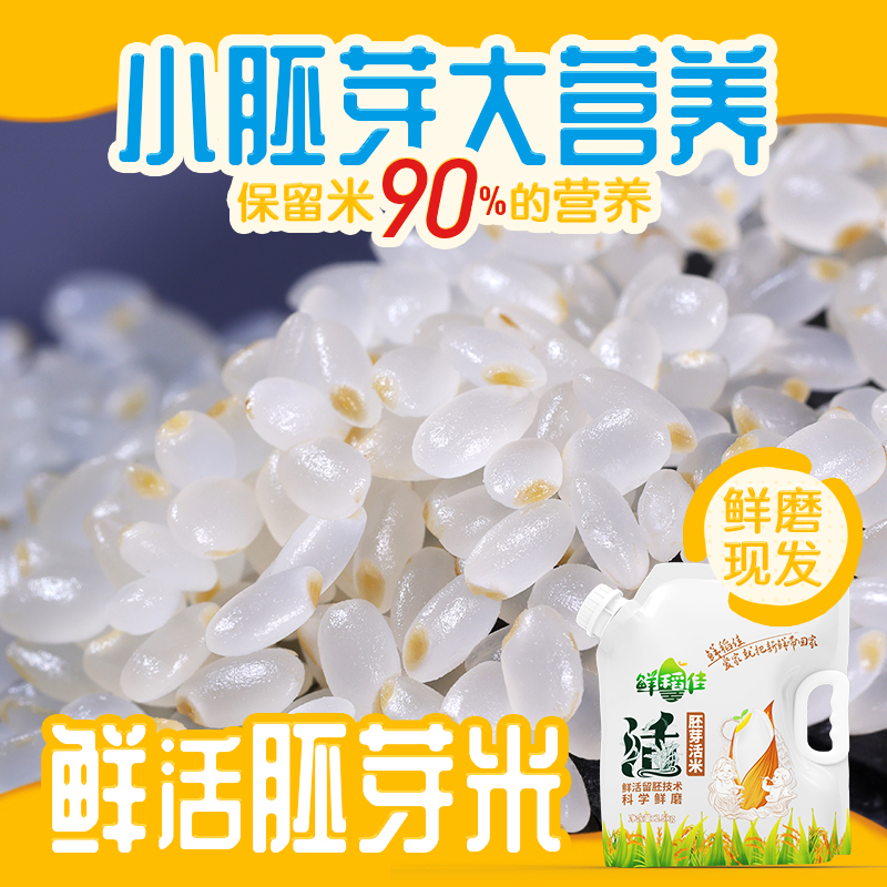 鲜稻佳胚芽米东北大米家庭专享