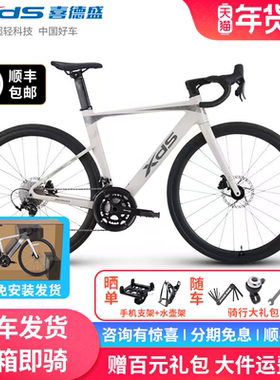 xds喜德盛官方新款AD300公路自行车成人男女款超轻20速油碟单车