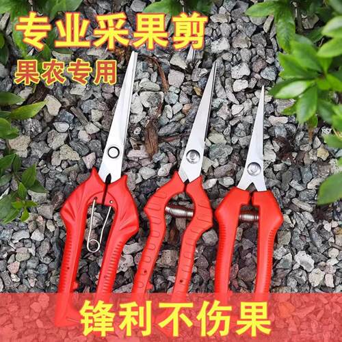 新升级采果剪园艺剪刀修花修枝剪