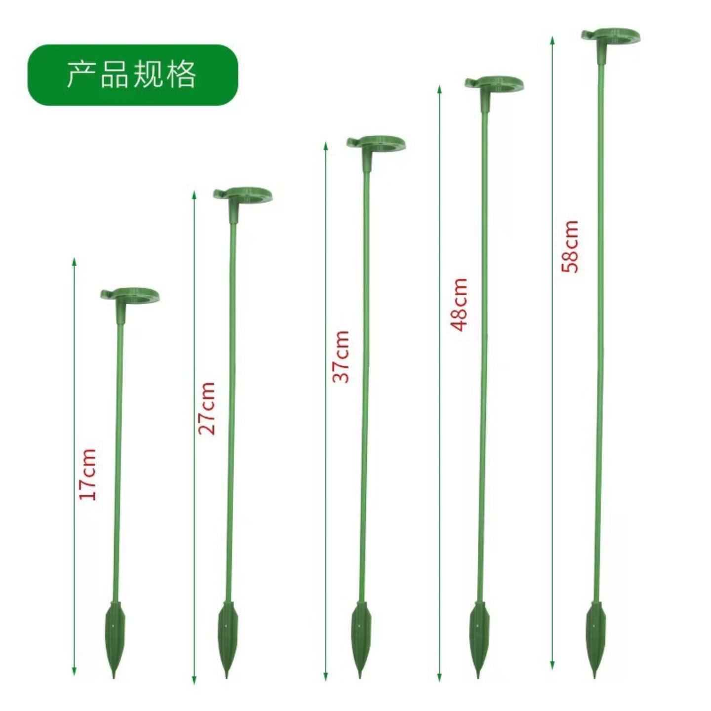 多肉兰专用花架支架植物盆栽护叶