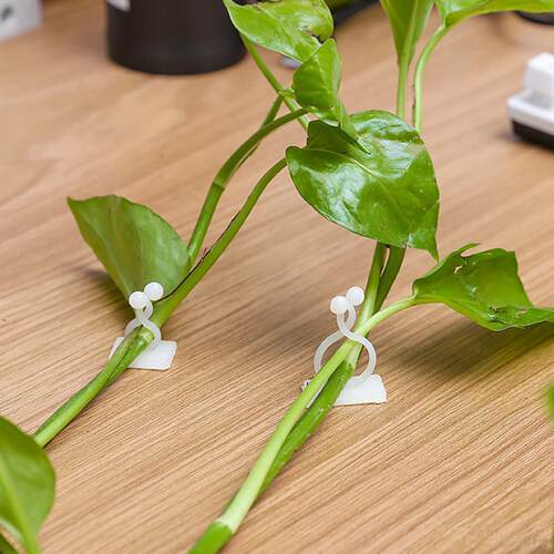 绿萝爬墙专用固定器绿植攀爬夹子