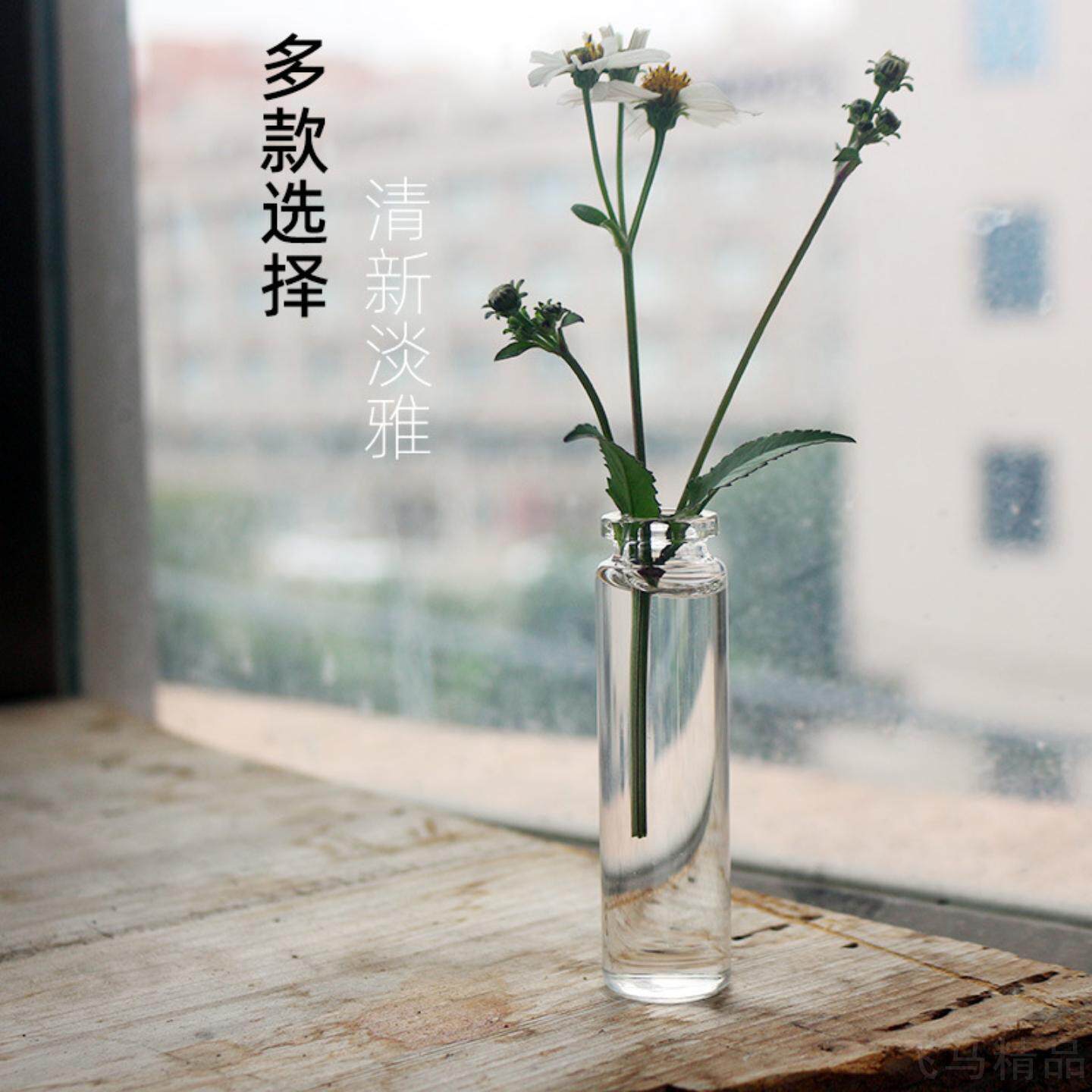 养多肉专用拇指瓶生石花特小玻璃