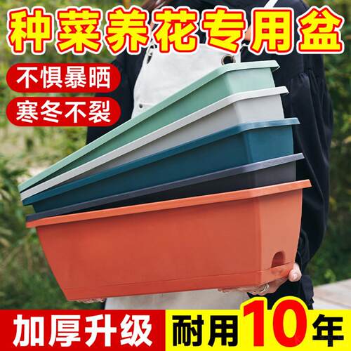 阳台专用长方形塑料种菜盆家庭