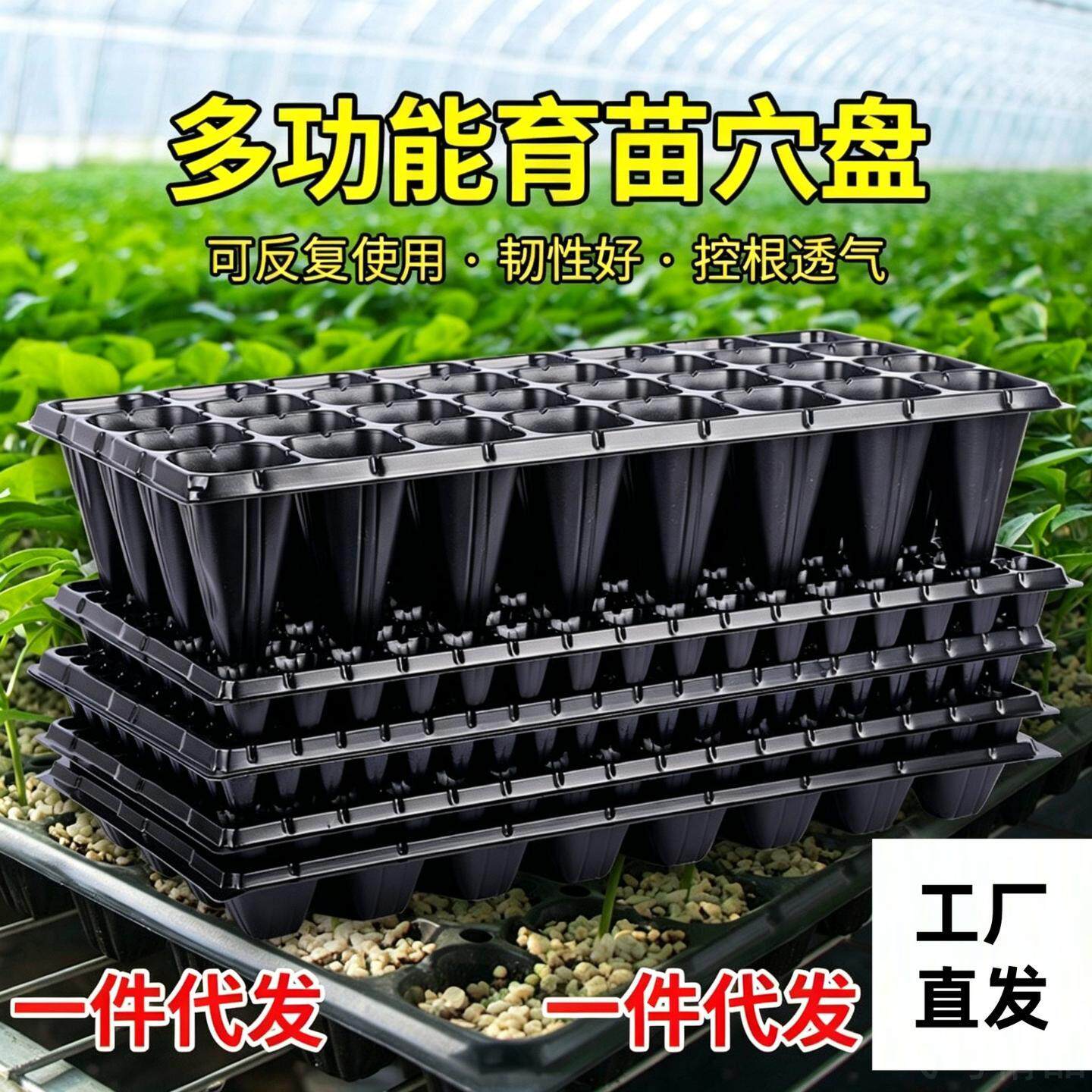 育苗盘穴盘塑料杯种植盆家用草莓
