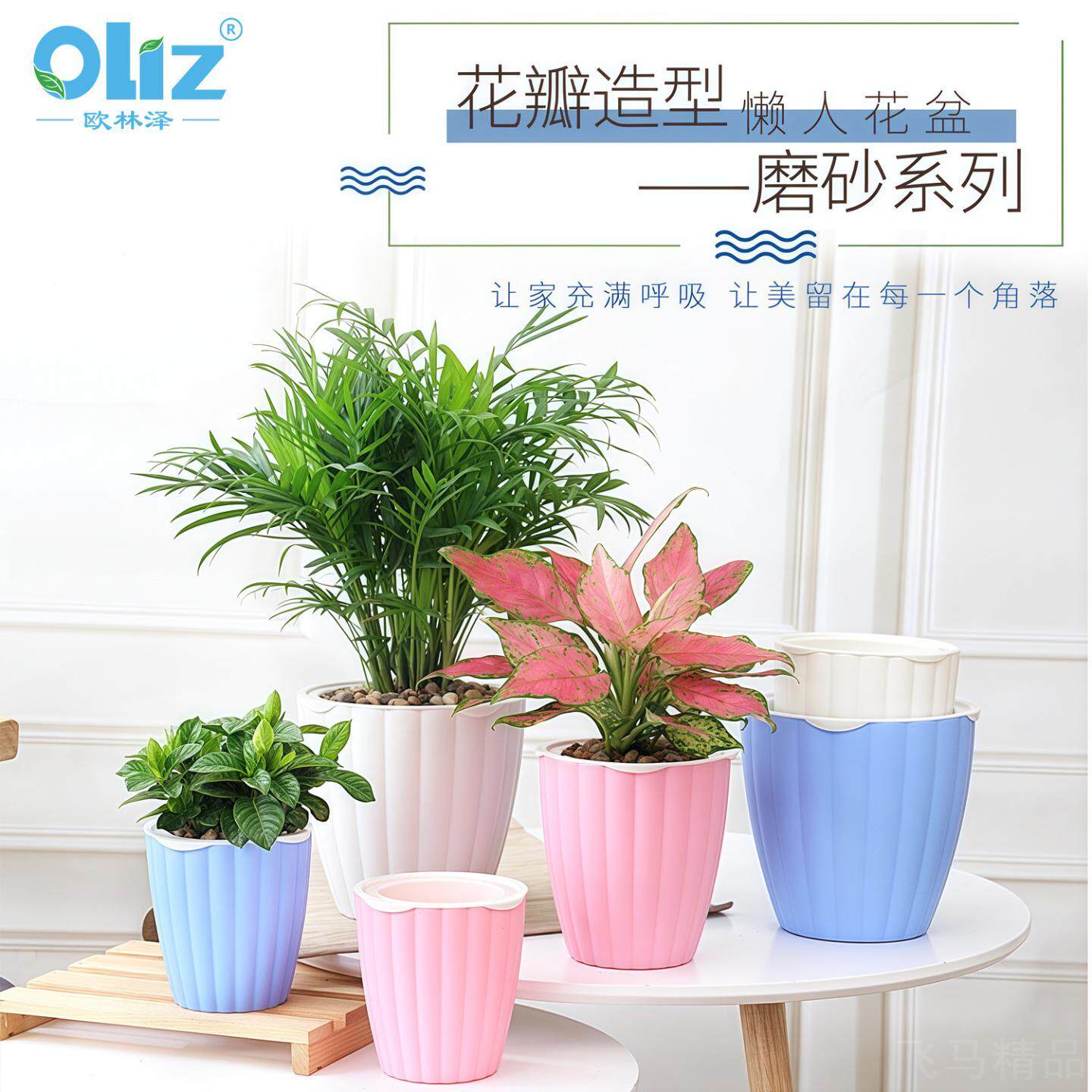 花盆花瓣造型磨砂彩塑自吸水懒人