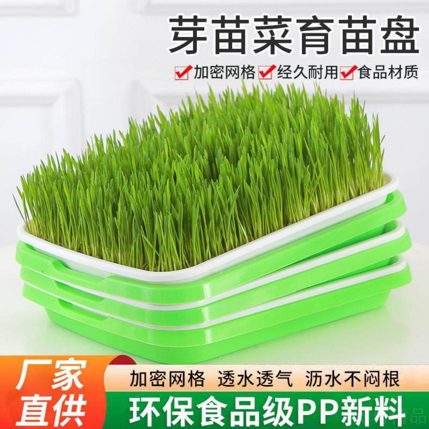 阳台种菜专用多功能水培育苗盘等
