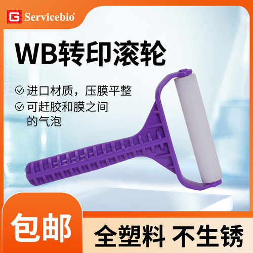 赛维尔蛋白转膜滚筒滚轮