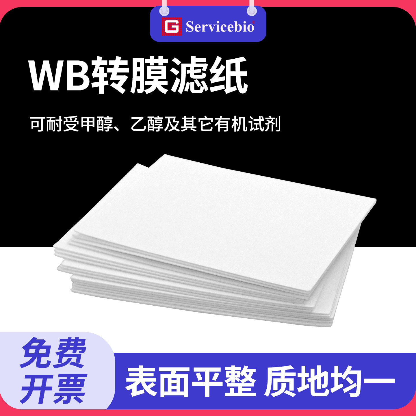 WB蛋白转膜滤纸薄款/厚款图片