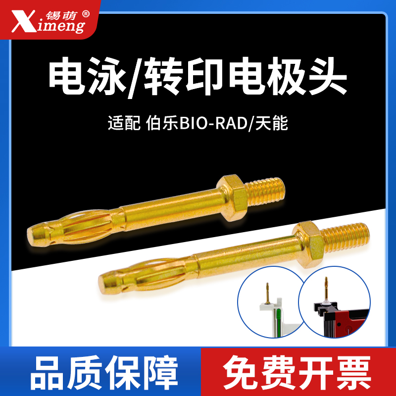 电泳/转印电极头通用伯乐/天能