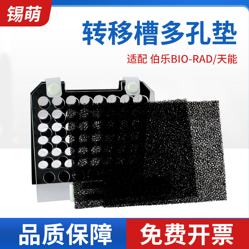 锡萌WB转膜海绵垫转膜转印夹板电转夹样品多孔垫 WesternBlot三明治夹板转印绵Foam Pad通用伯乐天能实验室,文具电教/文化用品/商务用品,教学仪器/实验器材,淘宝优惠券,粉丝福利购,淘宝优惠卷