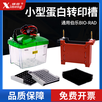 国产WB小型转印电泳槽(湿转)蛋白转印槽转印电极芯上盖下槽冰盒海