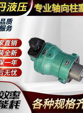10SCY 25SCY 32SCY 40SCY 80SCY 108SCY 160SCY14-1B轴向柱塞泵