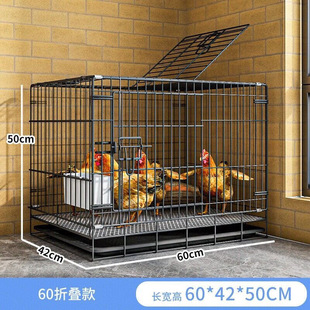 鸡笼子家用特大号室内养鸡笼自动清粪室外鸭笼子鸽子鸡舍笼子鸡窝