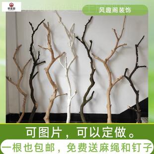 天然原木b树杈摆件树枝树干造景干燥树枝枯枝枯木装饰树枝鸟架悬