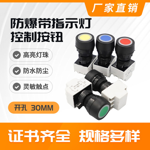 8030防爆防腐带灯按钮自锁自复位