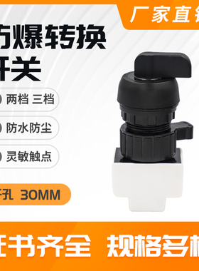 8030防爆防腐转换开关旋钮防水防尘配电箱30MM两档三档自复按钮