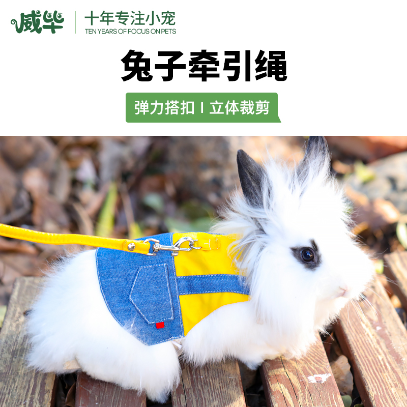 宠物兔子牵引绳衣服垂耳兔侏儒兔服装溜兔绳遛兔绳兔兔绳子牵兔绳