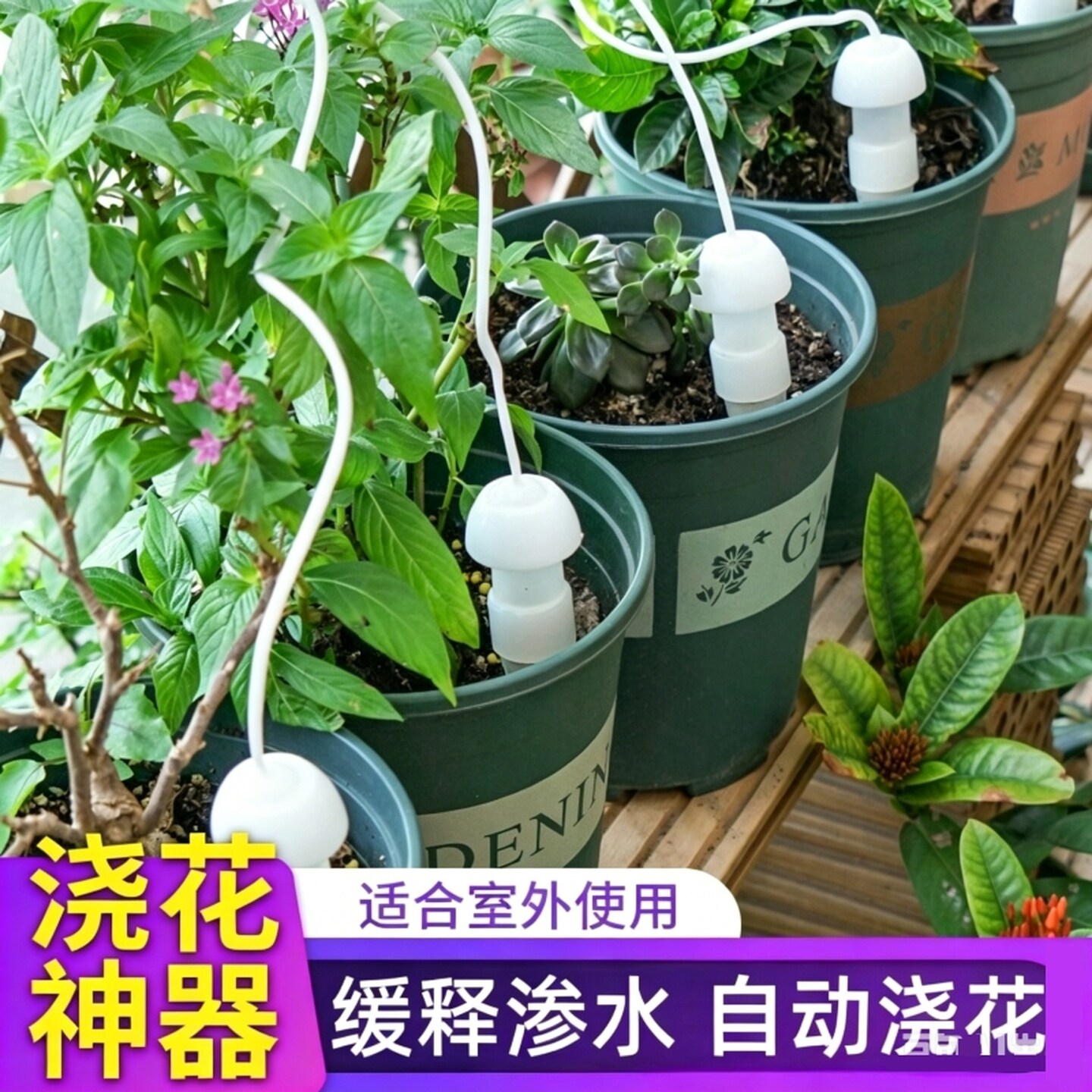 自动浇水浇花神器一个月出差植物浇水园艺工具土壤吸水浇花滴水器
