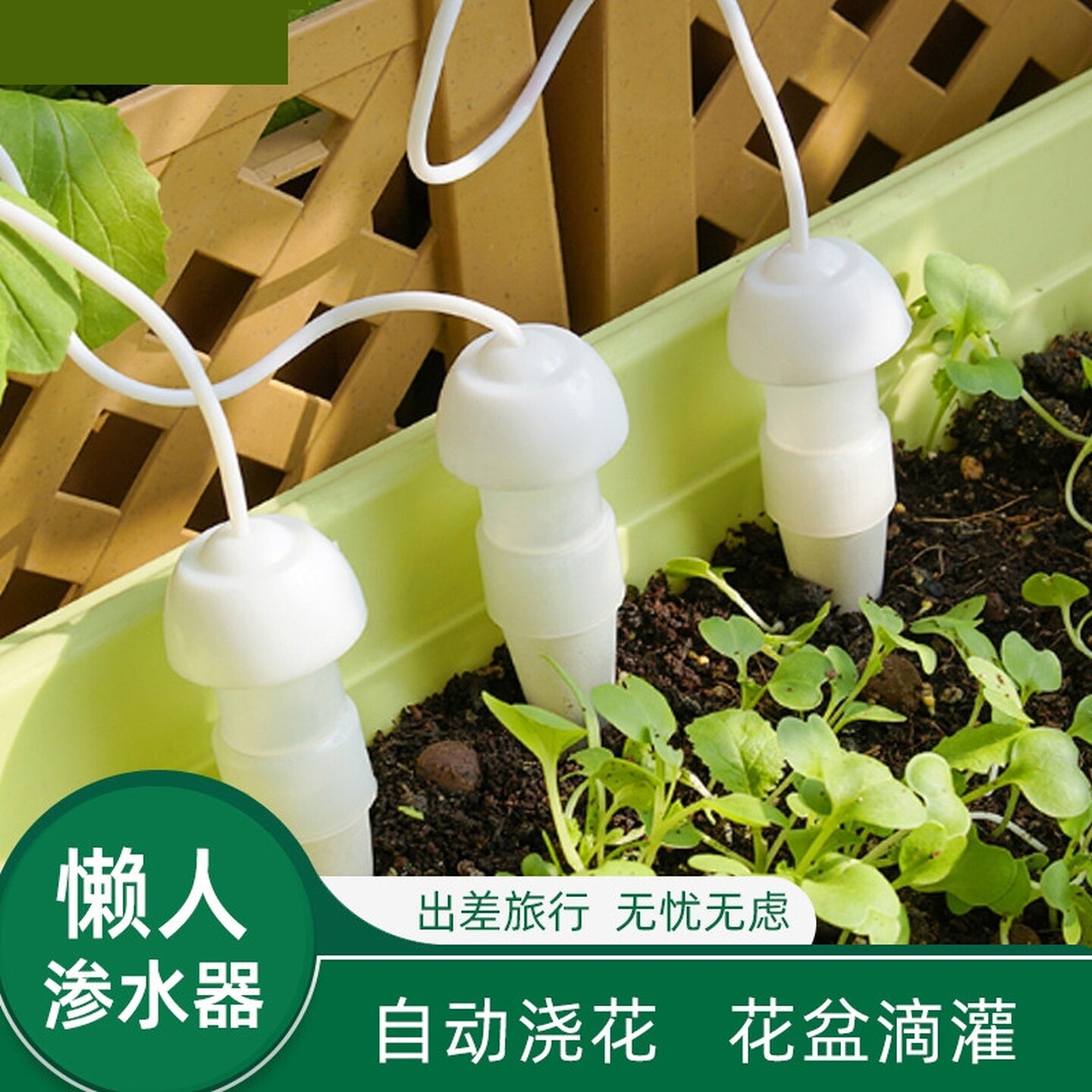 自动浇水浇花神器一个月日式渗水器假期出差可调节滴灌器养花种菜