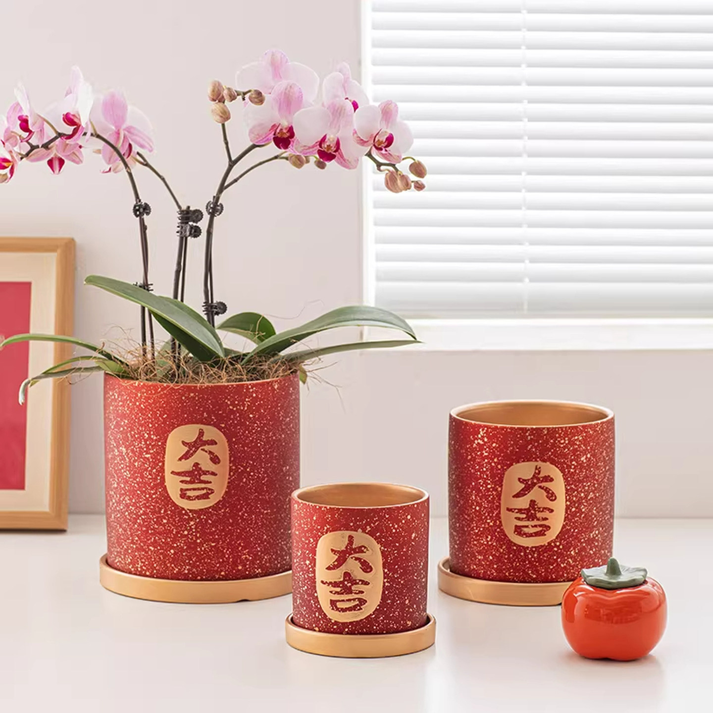 红色陶瓷花盆新年喜庆红色花盆复古蝴蝶兰花盆大吉大利瓷花盆,鲜花速递/花卉仿真/绿植园艺,花盆,淘宝优惠券,粉丝福利购,淘宝优惠卷
