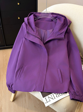 紫色连帽开春外套女秋季2025新款独特冲锋衣小香风爆款气质风衣