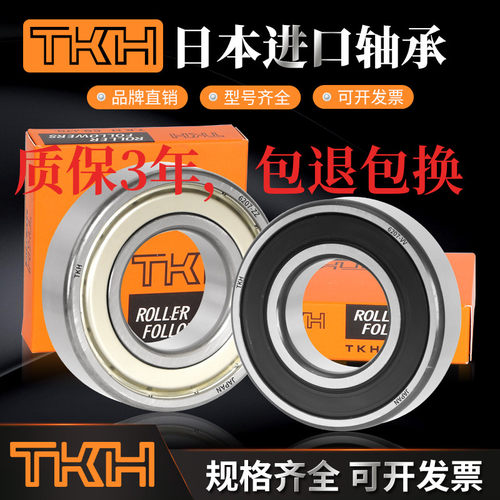 轴承TKH进口6216621762186219