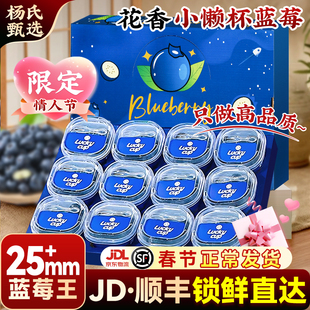 云南高山花香蓝莓l25情人节礼盒新鲜水果特大当季整箱小懒杯顺丰