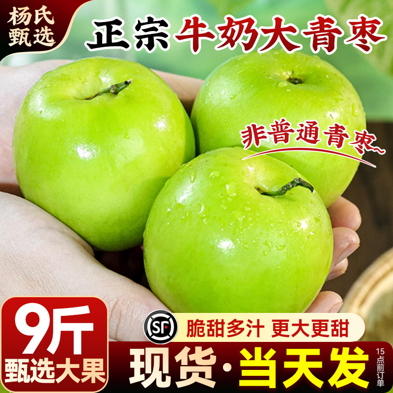 脆甜多汁 新鲜现摘