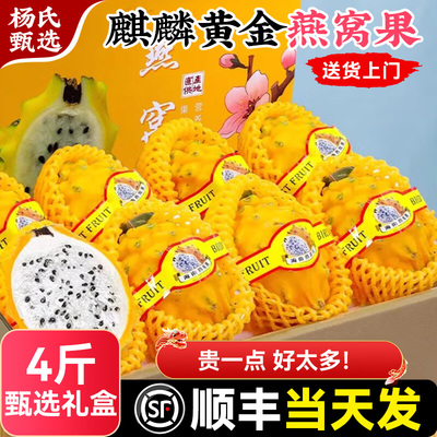 顺丰 4斤礼盒燕窝果新鲜火龙果白心黄色麒麟果当季正品官方旗舰店