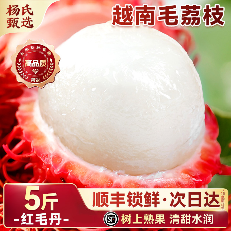 越南进口红毛丹|东南亚