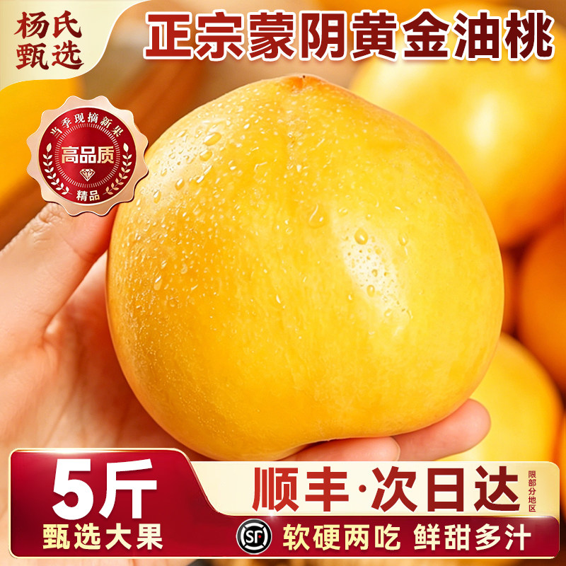 蒙阴黄油桃礼盒新鲜水果